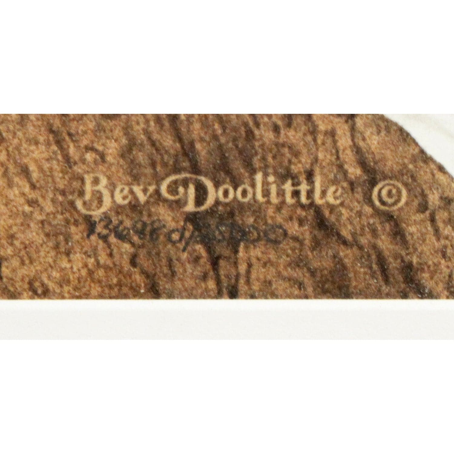 Bev Doolittle "Hide & Seek" Framed L.E. Three-Piece Art Set - Thumbnail 19