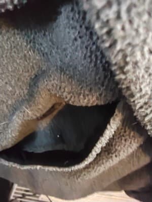 Fleece jacket, gray full- zip with embroidered - Thumbnail 10