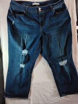 Cotton blend distressed skinny Jeans Gloria Vanderbilt Size 22W - Image 1