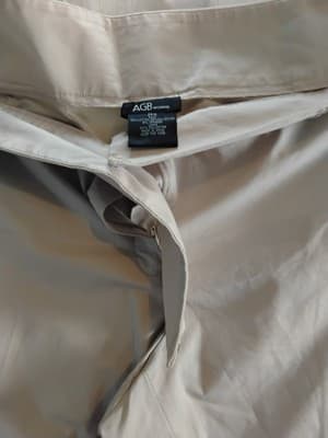 AGB Plus 24W Womens Pants Taupe Townsend Straight Leg Suiting Slacks NWT - Image 1