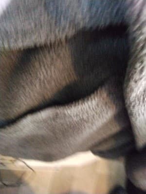 Fleece jacket, gray full- zip with embroidered - Thumbnail 9