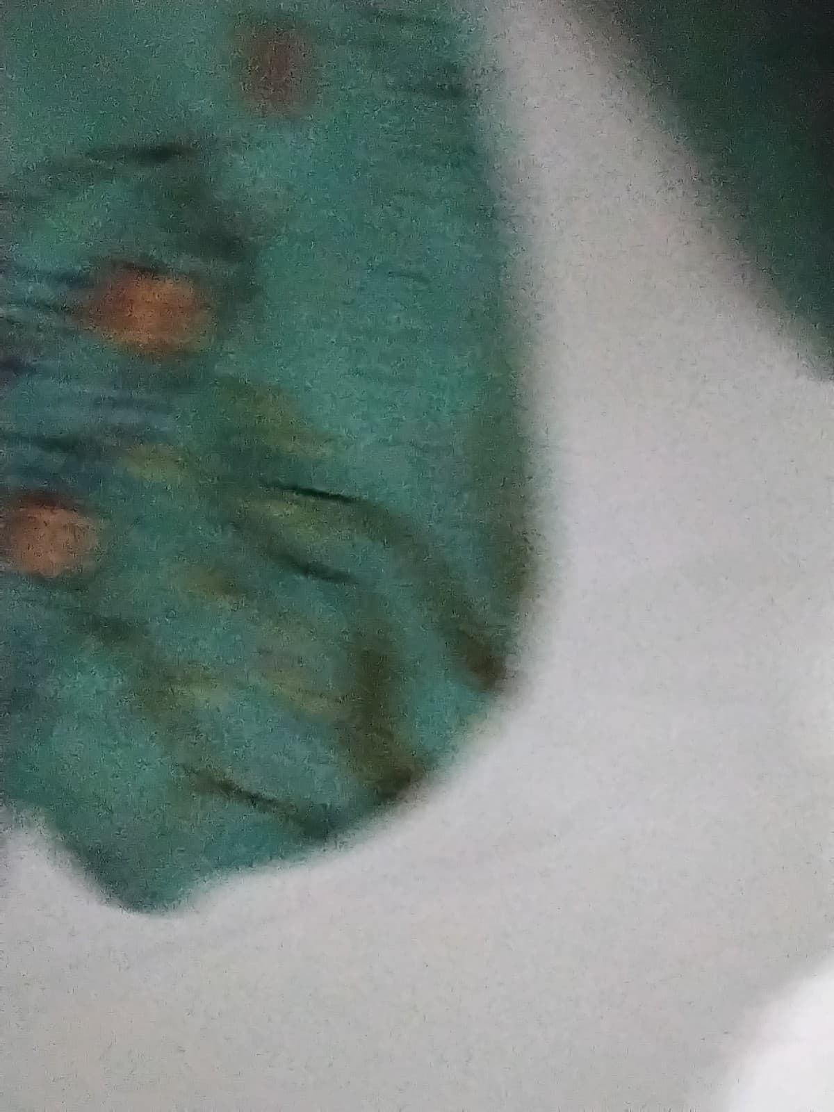 Polyester long sleeve top, Miss look floral print blouse 4x - Thumbnail 4