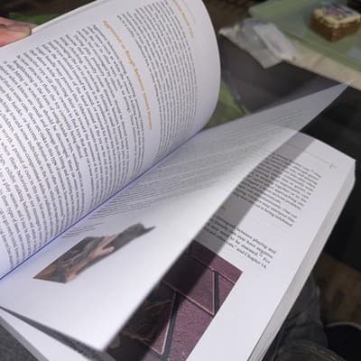 Clinical Handbook of Feline Behavior Medicine by Stelow - Thumbnail 6