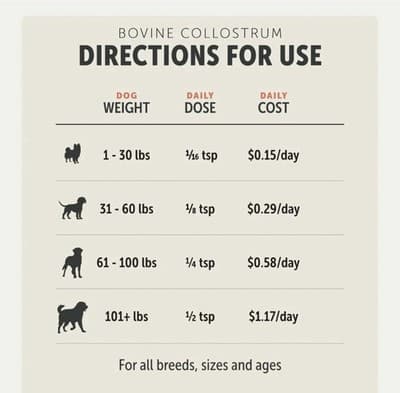 Bovine Colostrum for Dogs - 100% Grass-Fed, Supports Skin, Gut & Immunity - Thumbnail 3