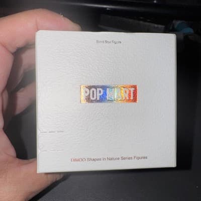 Pop Mart Dimoo Shapes in Nature Confirmed Figure Unopened - Thumbnail 5