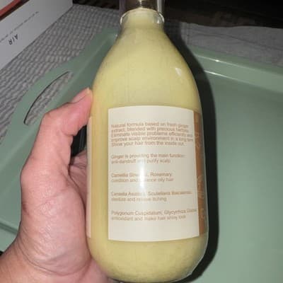 Yanibest Ginger Herbal Smoothie Shampoo Dandruff defense Purify Scalp. - Thumbnail 3