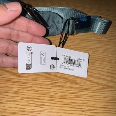 Alo Yoga Explorer Belt Bag Winter Ivy Crossbody Fanny Waist Pack Travel NWT - Thumbnail 3