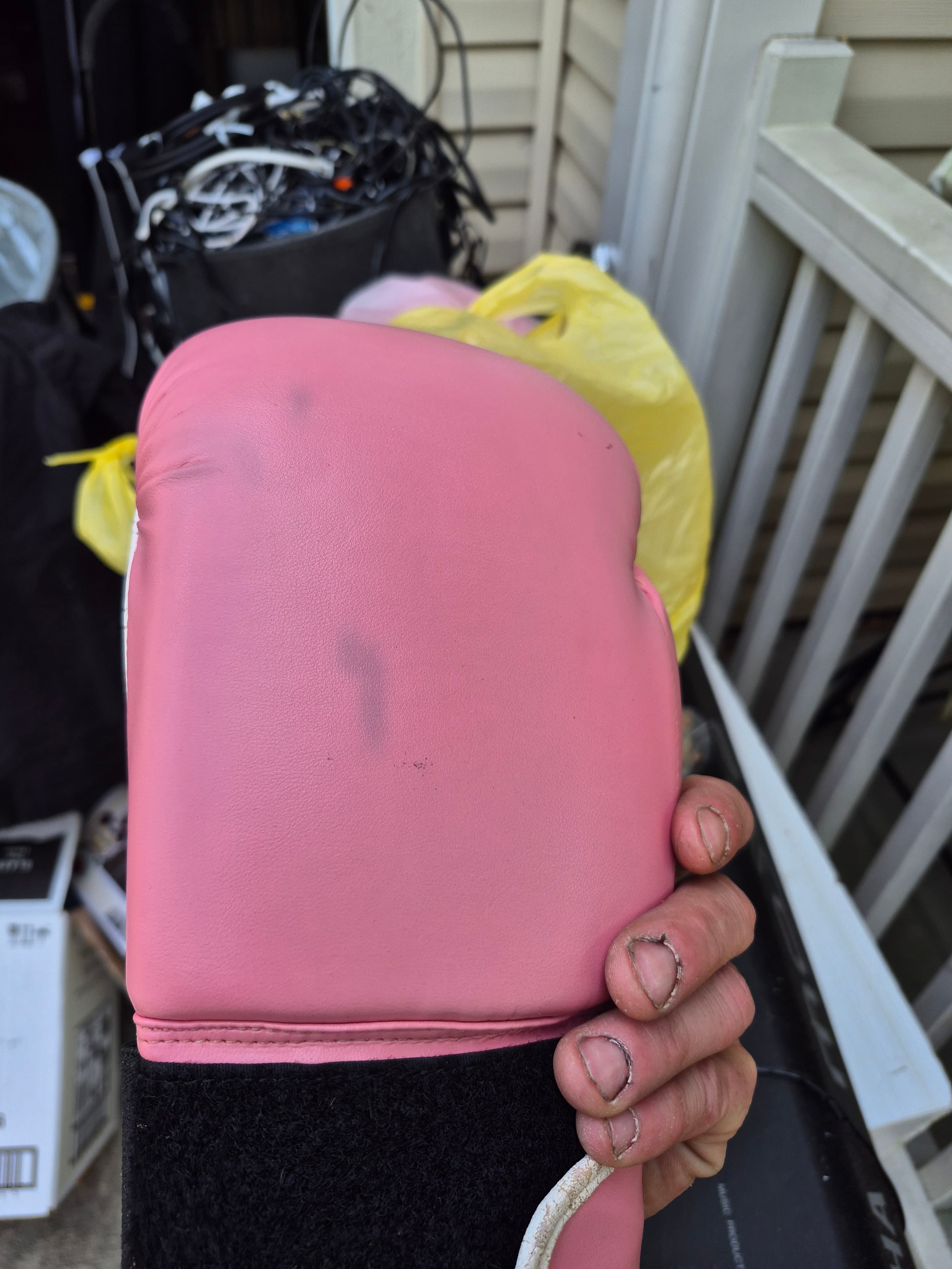 Everlast Pink Boxing Gloves 10 oz Training Sparring Gear - Thumbnail 6