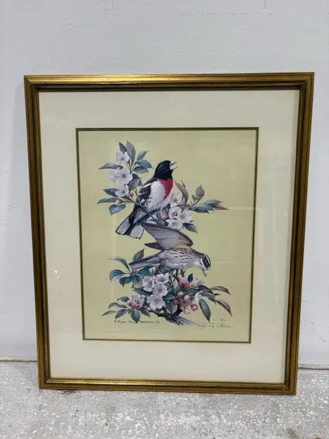 "Rose Breasted Grosbeak" Framed Print By Roger Tory Peterson - Image 1