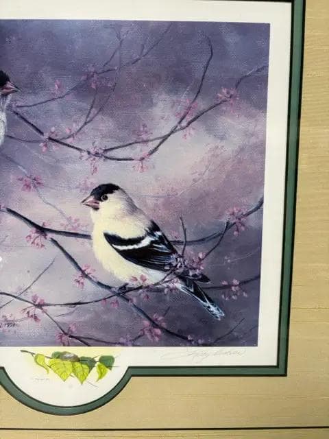 Framed Goldfinch Print By Dickson - Thumbnail 2