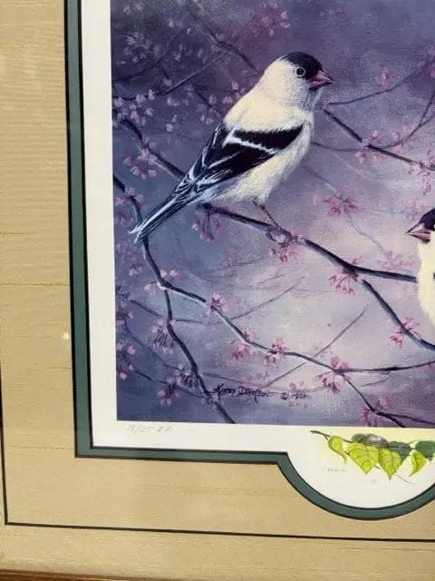 Framed Goldfinch Print By Dickson - Thumbnail 3