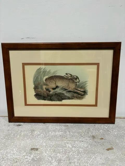 Framed Brown Rabbit Print - Image 1