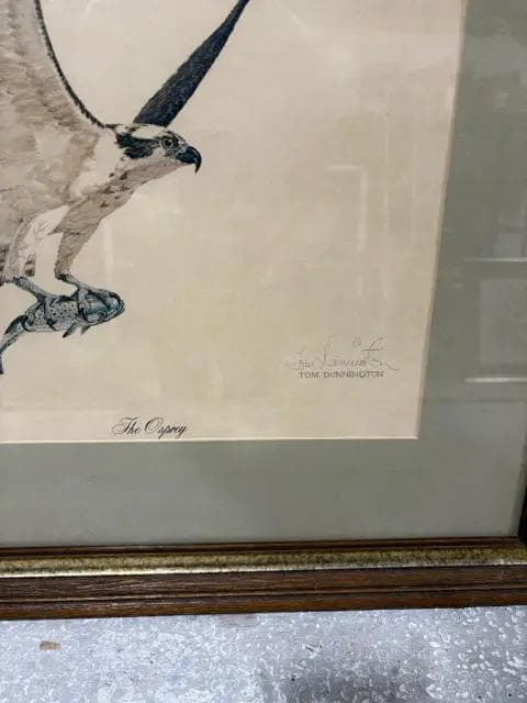 "The Osprey" Framed Print By Tom Dunnington - Thumbnail 2