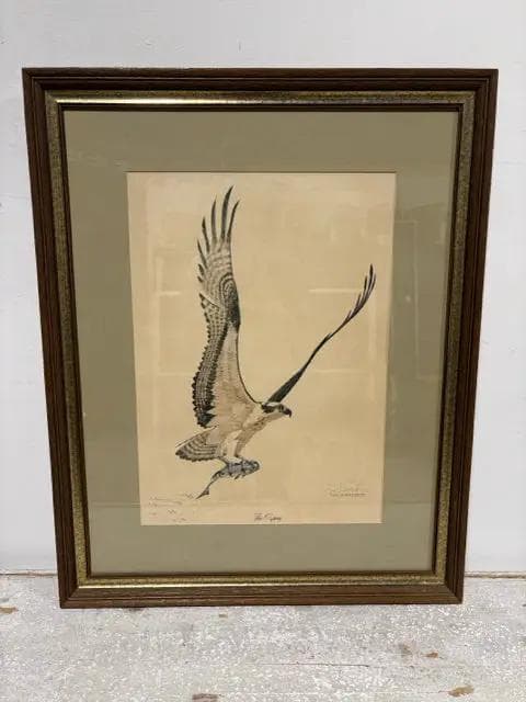 "The Osprey" Framed Print By Tom Dunnington - Image 1