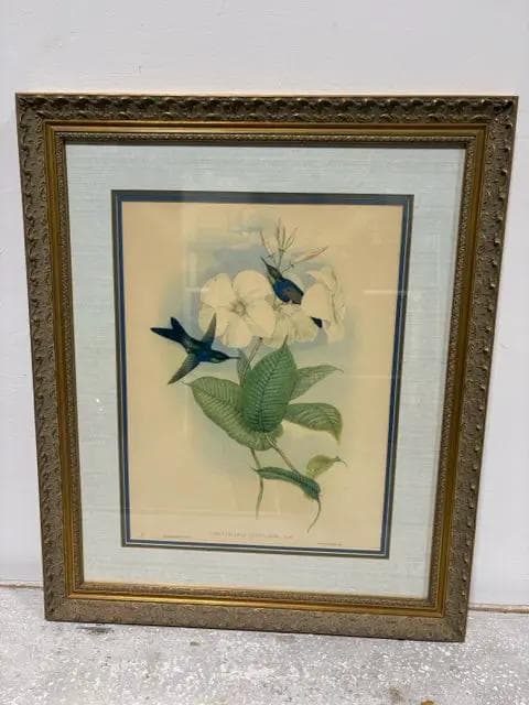 "Thalurania Refulgens" Hummingbird And Floral Print By Gould - Image 1