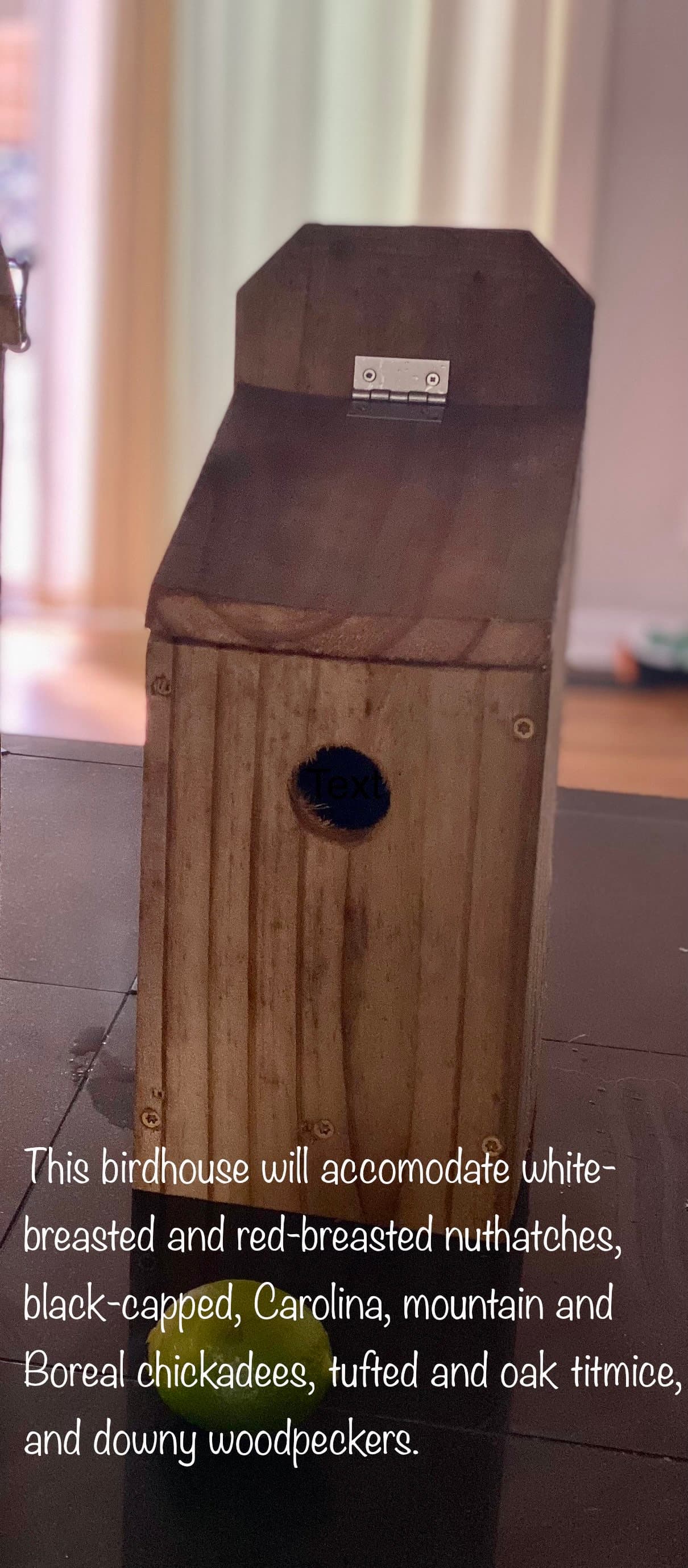 Handcrafted Birdhouse - Small - Image 1