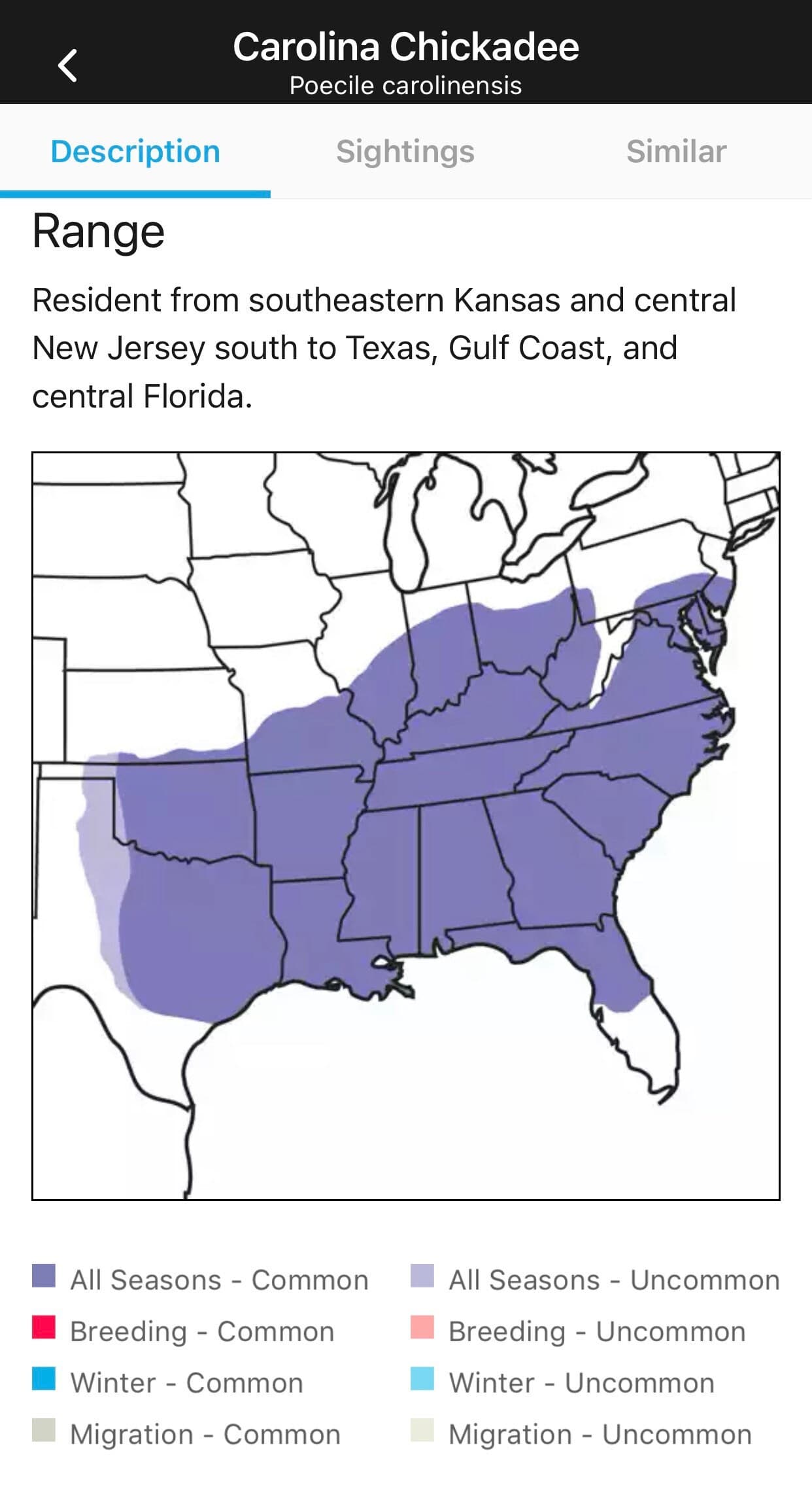 Handcrafted Birdhouse - Small - Thumbnail 3