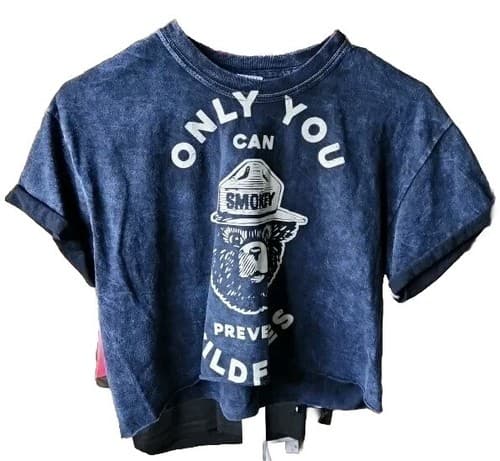 Gildan Smokey The Bear Only You Can Prevent Wildfires Classic Blue Crop T-Shirt - Image 1