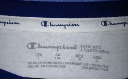 Champion Colorblock Crew Neck T-Shirt Women's Lg White/Blue Cropped Pullover.NWT - Thumbnail 2