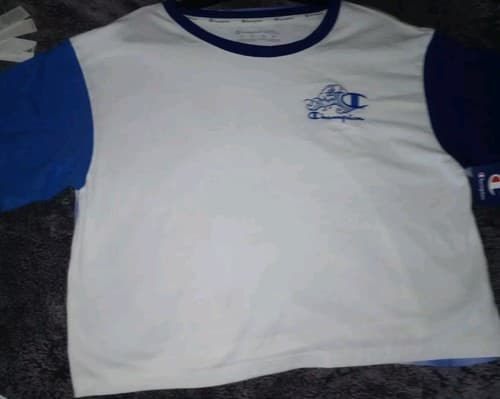 Champion Colorblock Crew Neck T-Shirt Women's Lg White/Blue Cropped Pullover.NWT - Image 1