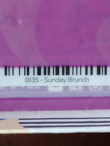 NEW JAMBERRY NAIL WRAPS FLOWERS 1 sheet B135 Sunday Brunch.*Retired* - Thumbnail 4