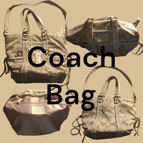 COACH DAISY HEART TOTE BEIGE H1226-H20101 WOMENS BAG - Image 1