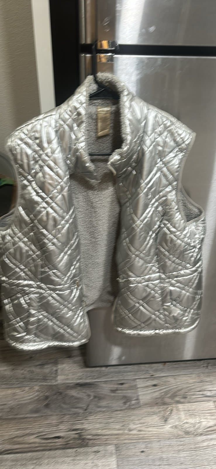 Beautiful Silver Vest - Image 1