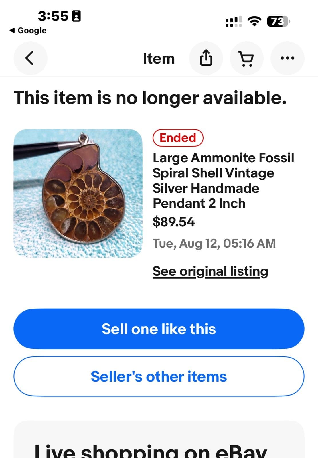 Brown Ammonite Fossil Pendant Necklace - Thumbnail 5