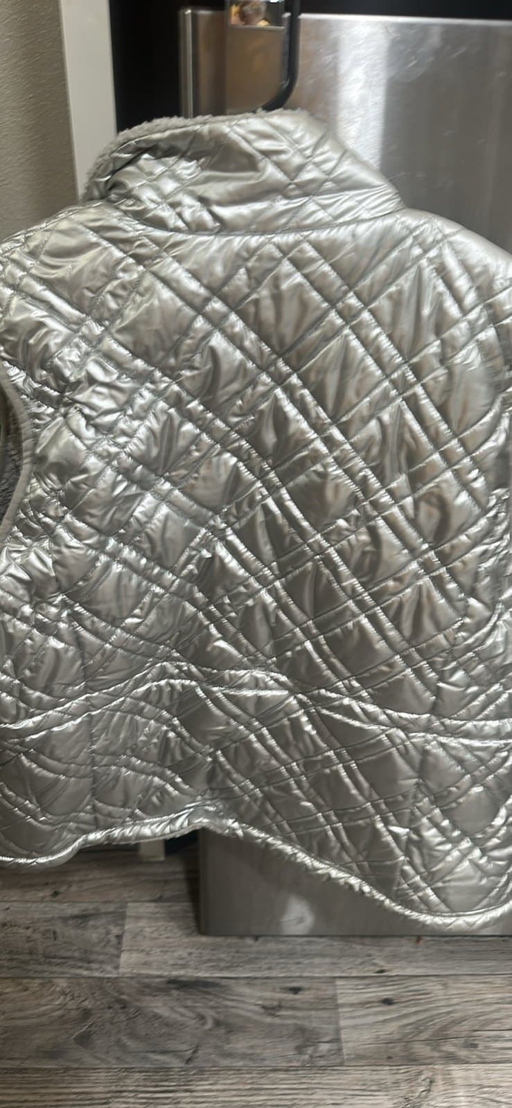 Beautiful Silver Vest - Thumbnail 3