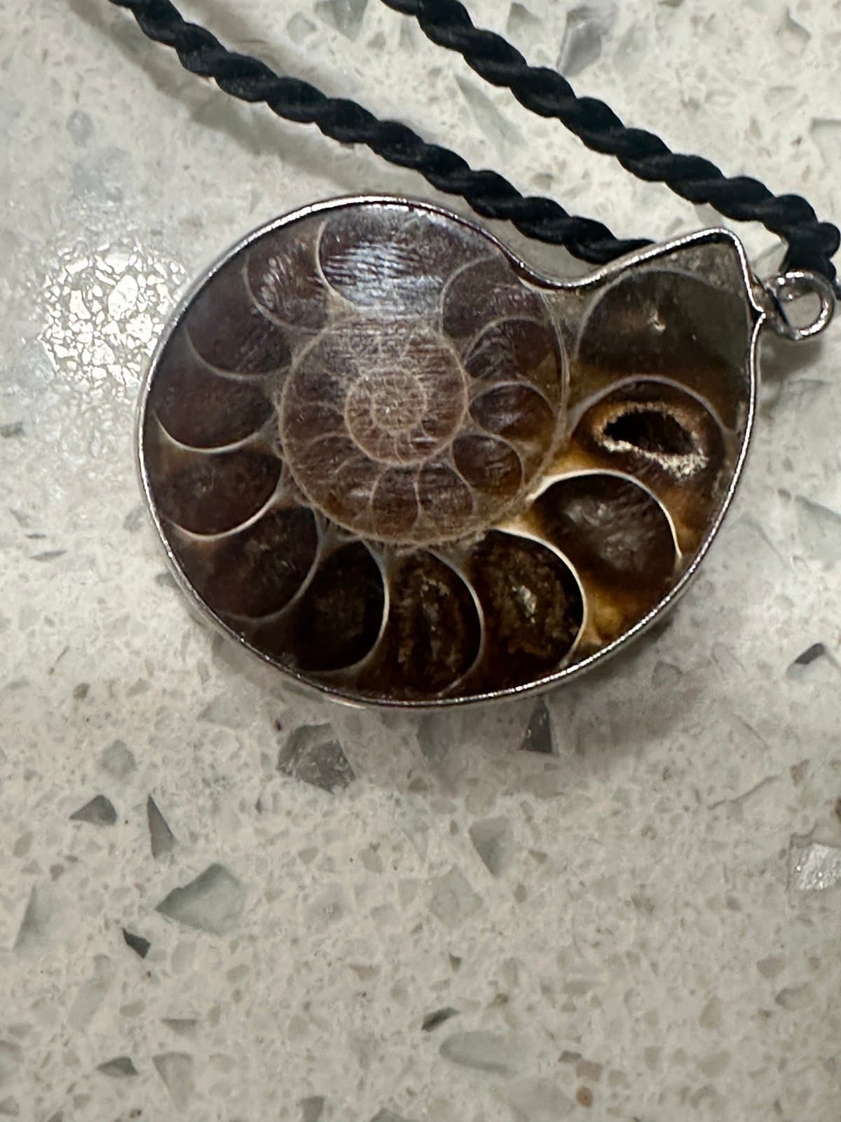 Brown Ammonite Fossil Pendant Necklace - Image 1