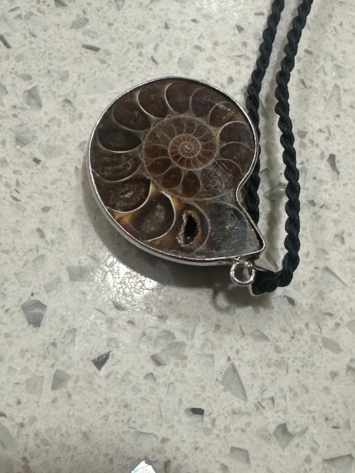 Brown Ammonite Fossil Pendant Necklace - Thumbnail 3
