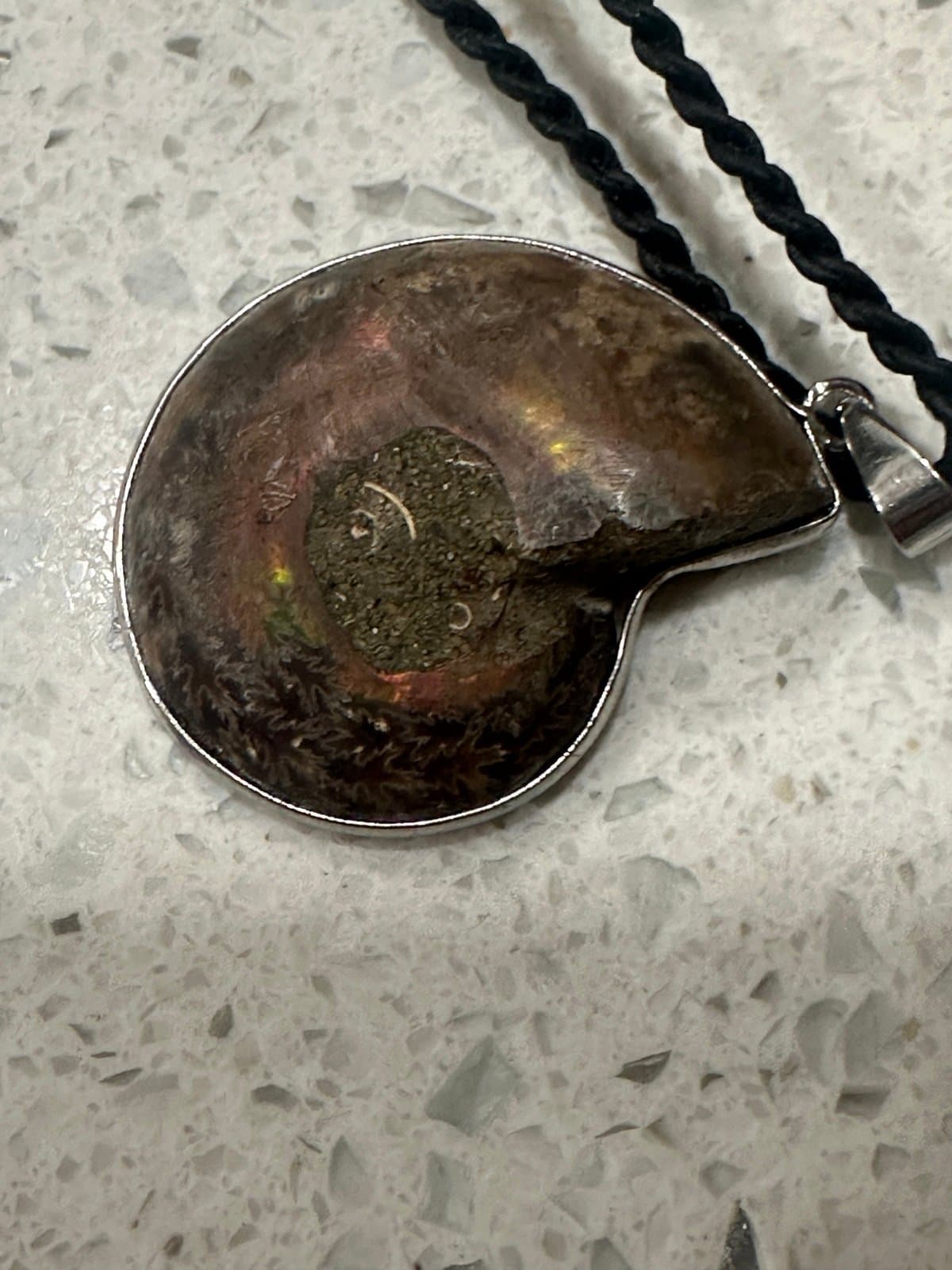 Brown Ammonite Fossil Pendant Necklace - Thumbnail 4