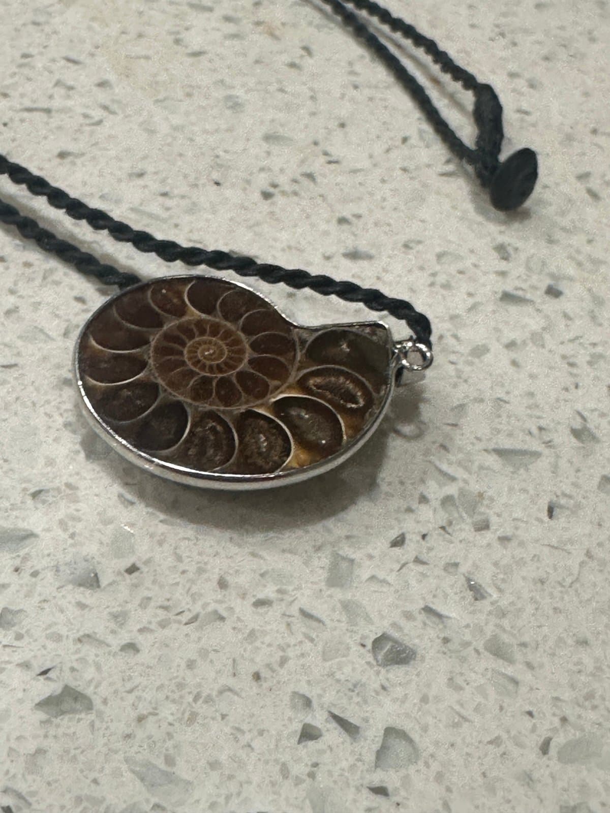 Brown Ammonite Fossil Pendant Necklace - Thumbnail 2