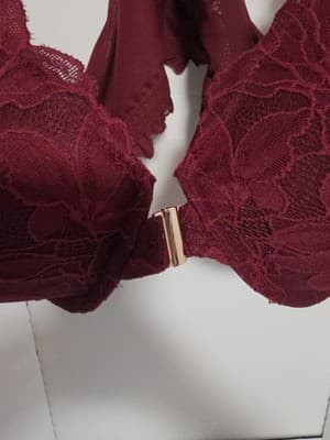 NWT Auden Red Laced Push-Up Plunge Coverage Underwire Bra Size 46C - Thumbnail 6