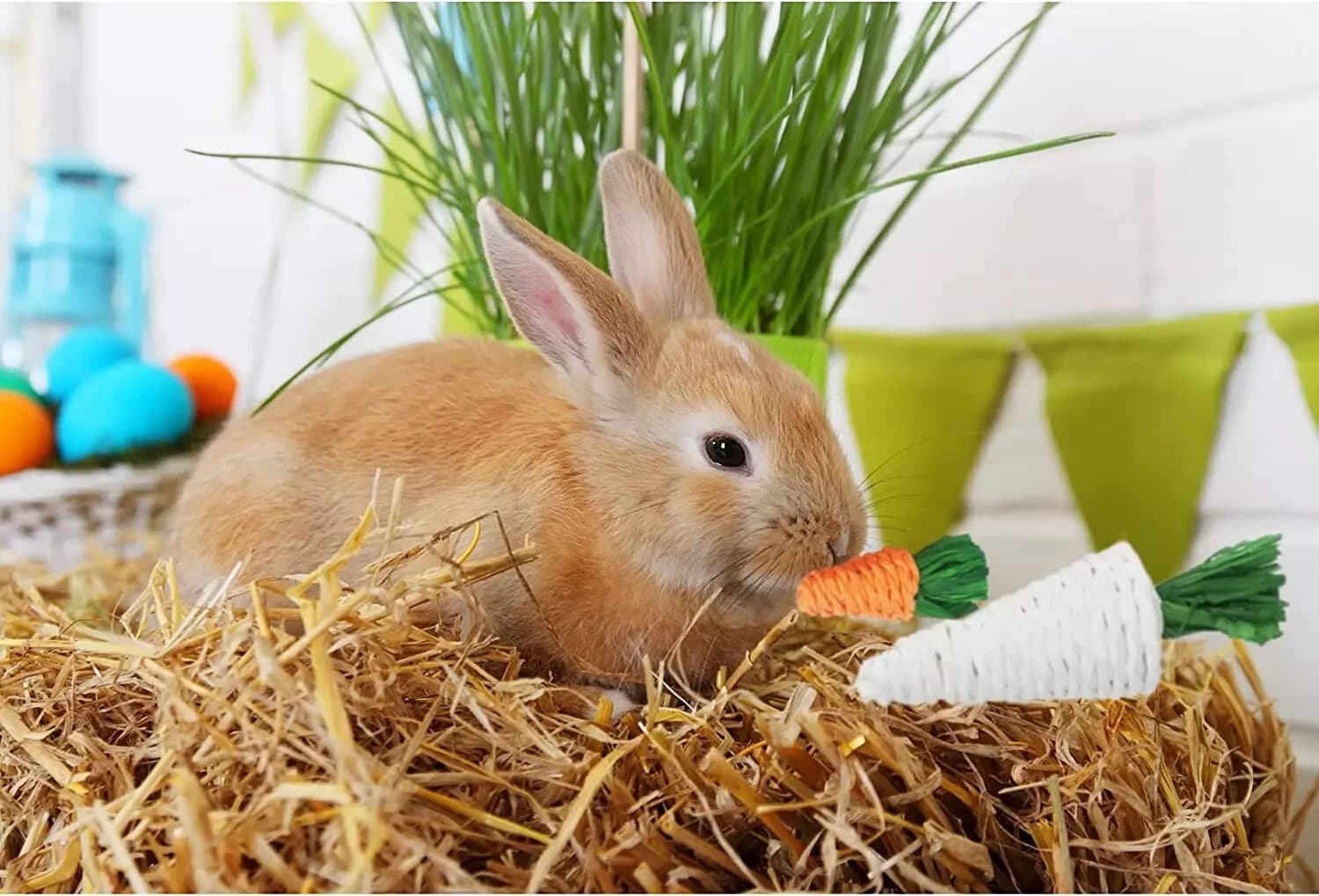 Rabbit Chew Toys 15PCS, Guinea Pig Toys, Bunny Toys for Teeth, Chew Toys and Tre - Thumbnail 3