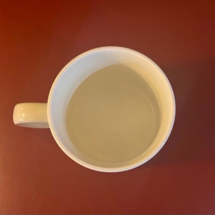 The Model T FORD Club 1991 35th Annual Tour Gulf Shores AL Porcelain 10oz Mug - Thumbnail 2