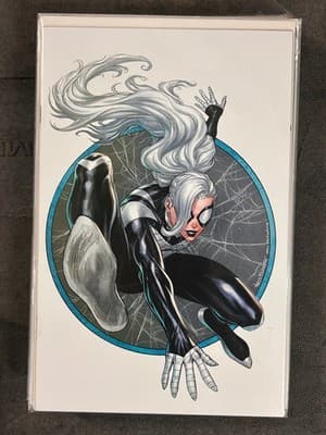 Black Cat Variant Cover Art Comic Book Raw White Hair Spider Web Sketch Style - Image 1