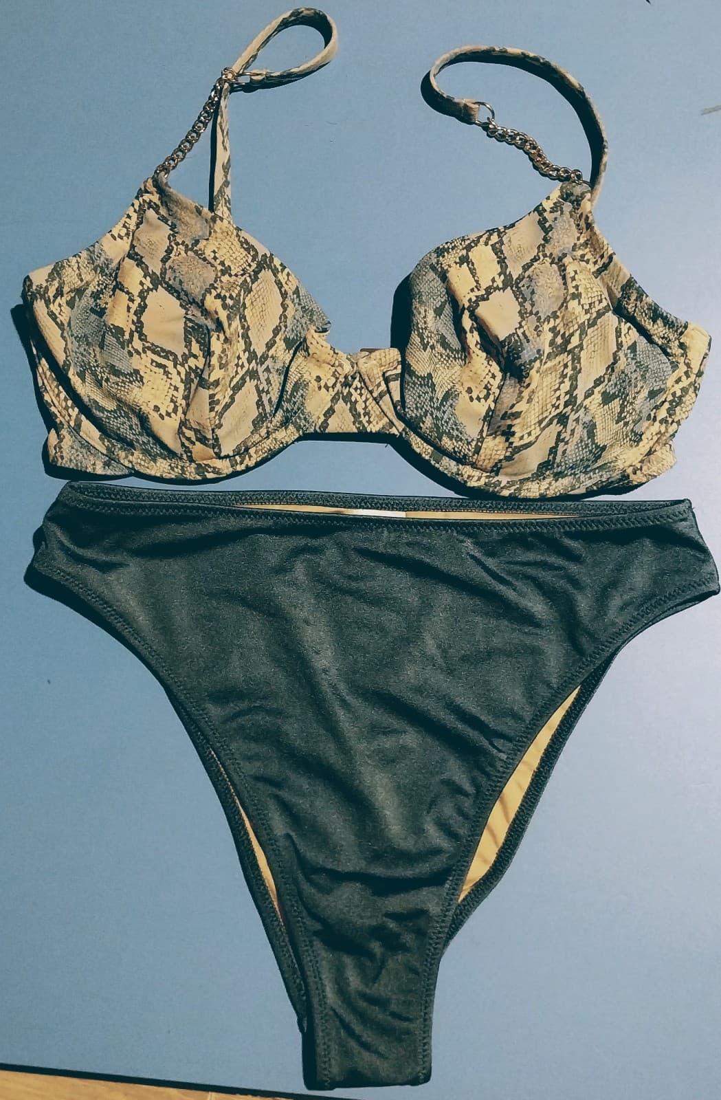 Shade and Shore Blue Bikini - Image 1