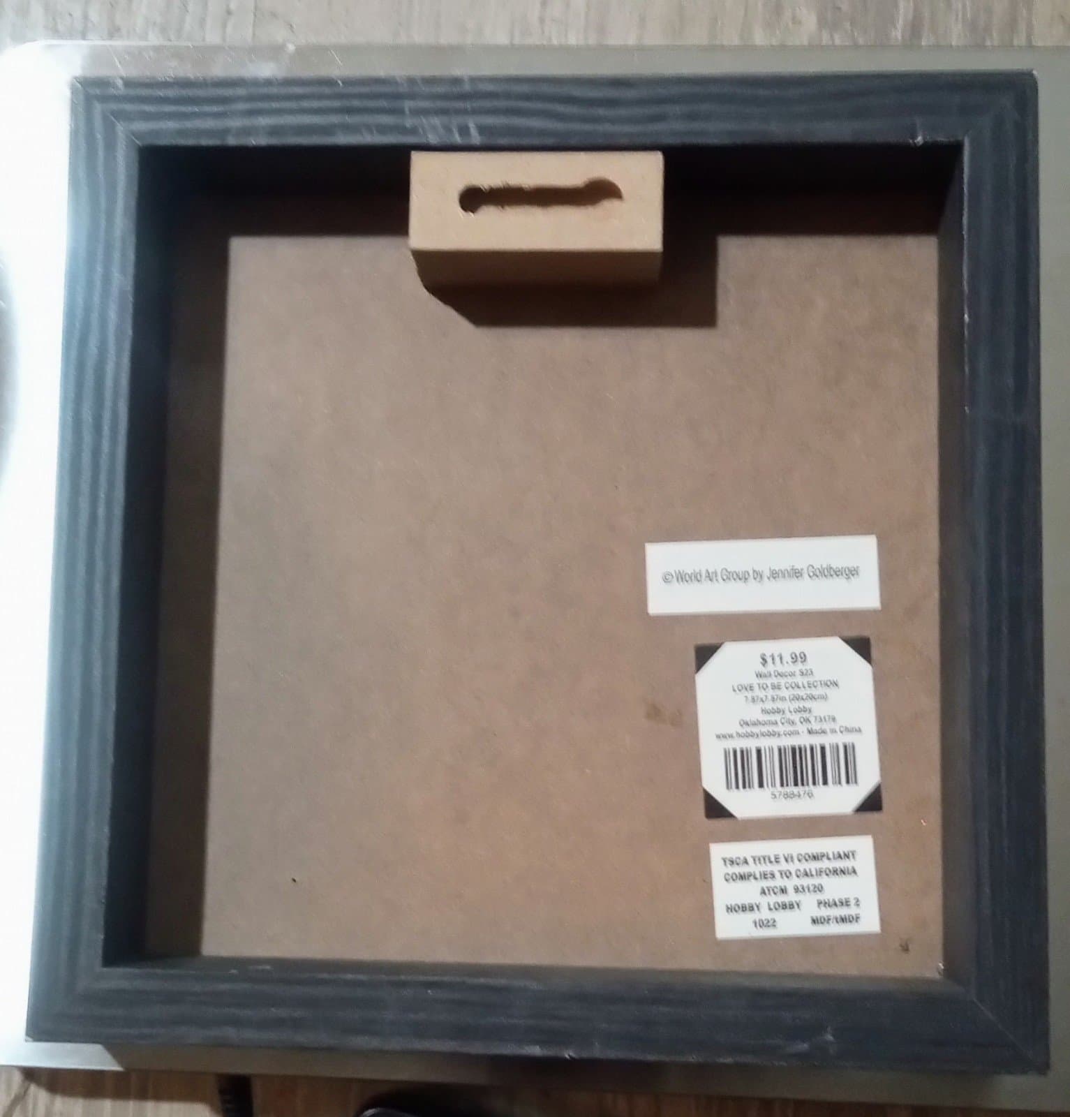 Canvas Lab Canvas Wall Art Decor Dandelion and Wings II by Jennifer Goldberg - Thumbnail 2