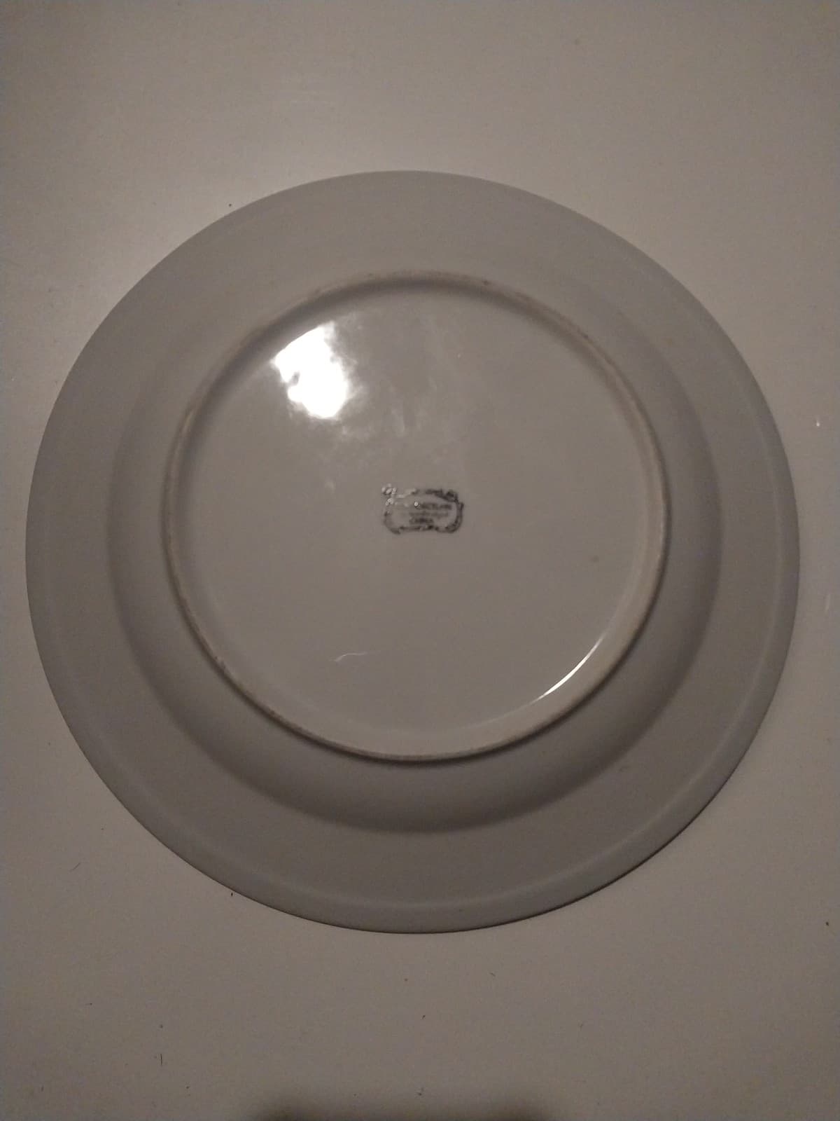 2 Fine China Northridgee 10" Dinner Plates - Thumbnail 3