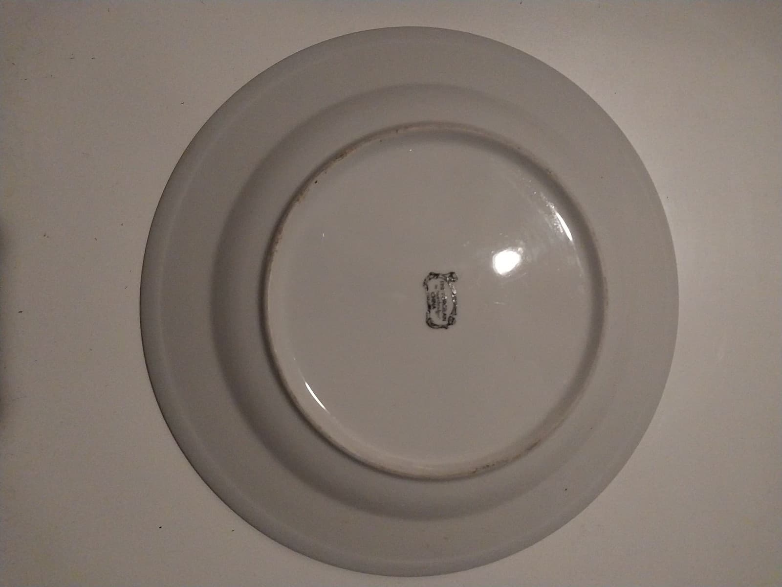2 Fine China Northridgee 10" Dinner Plates - Thumbnail 5