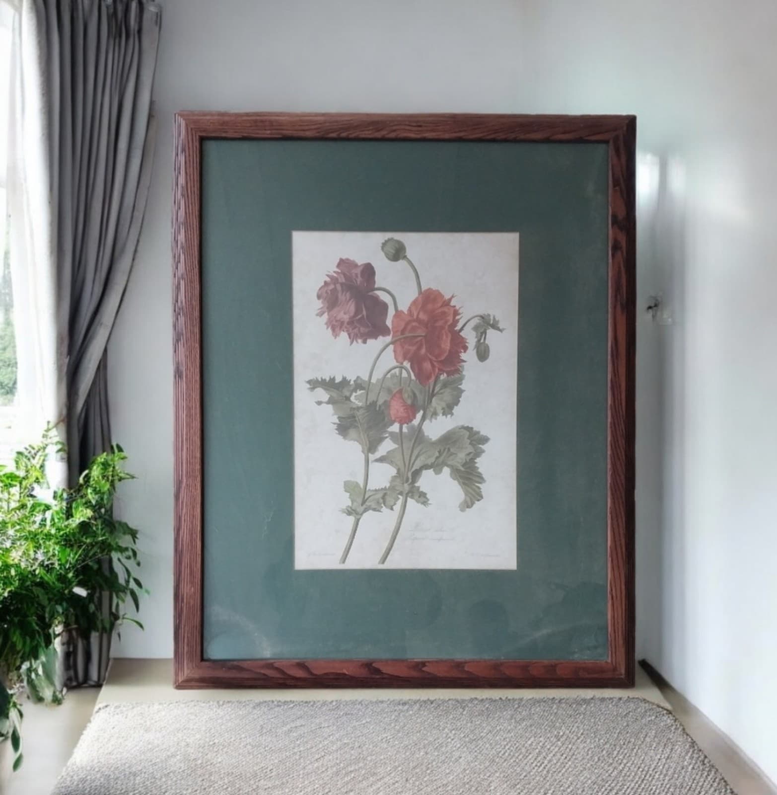 Antique Botanical of Poppy Flowers 19th C. Chromolithograph Poppy - Thumbnail 2