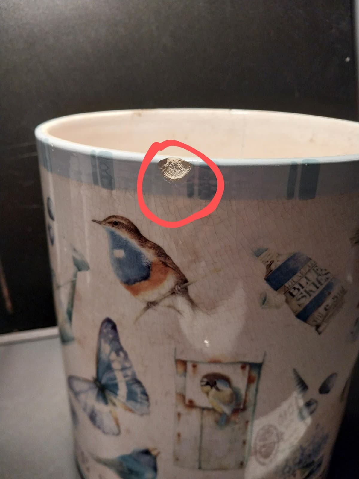 Hallmark Marjolein Bastin Large Canister Jar 10" Height. Birdsong Butterflies - Thumbnail 7