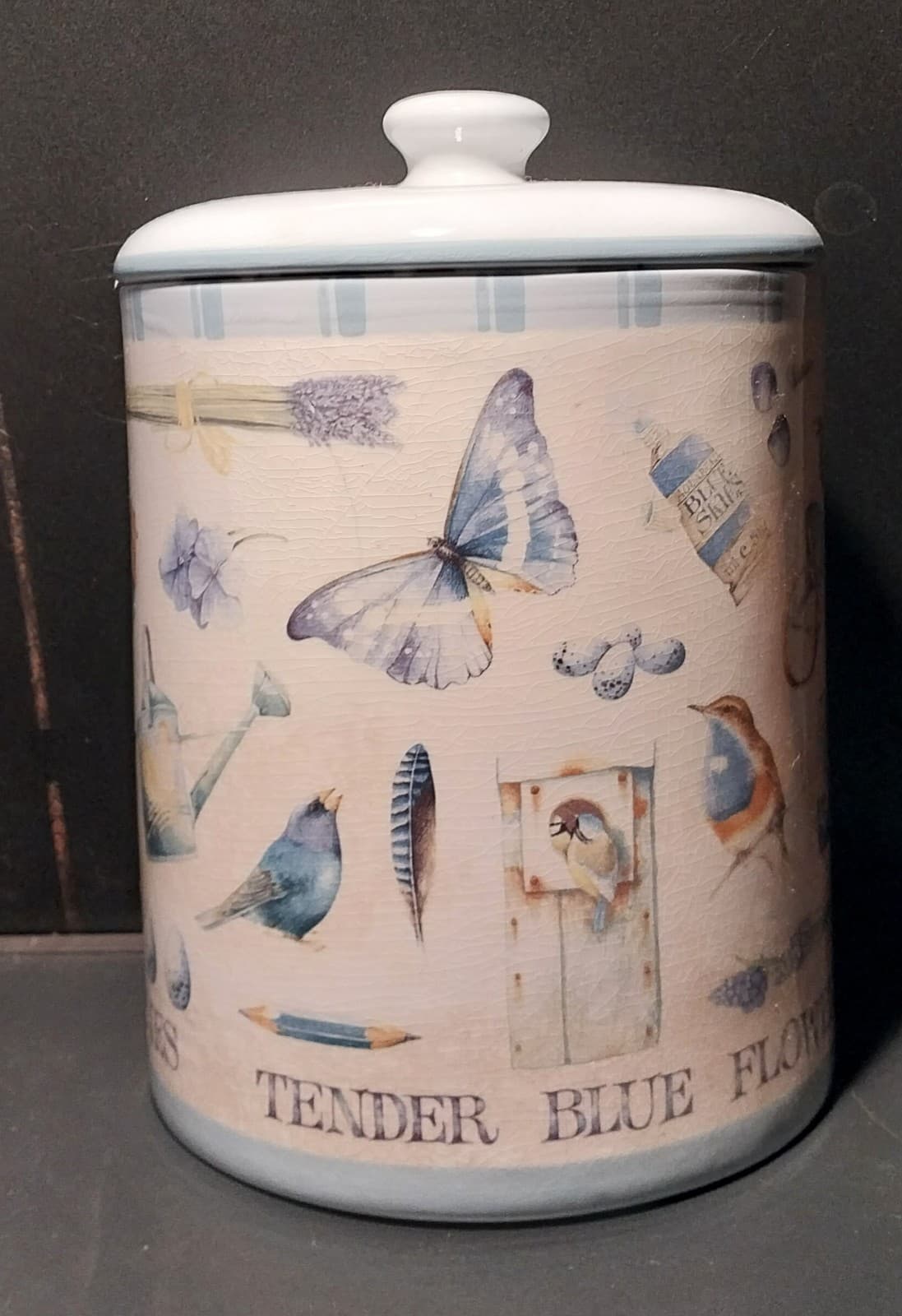 Hallmark Marjolein Bastin Large Canister Jar 10" Height. Birdsong Butterflies - Image 1