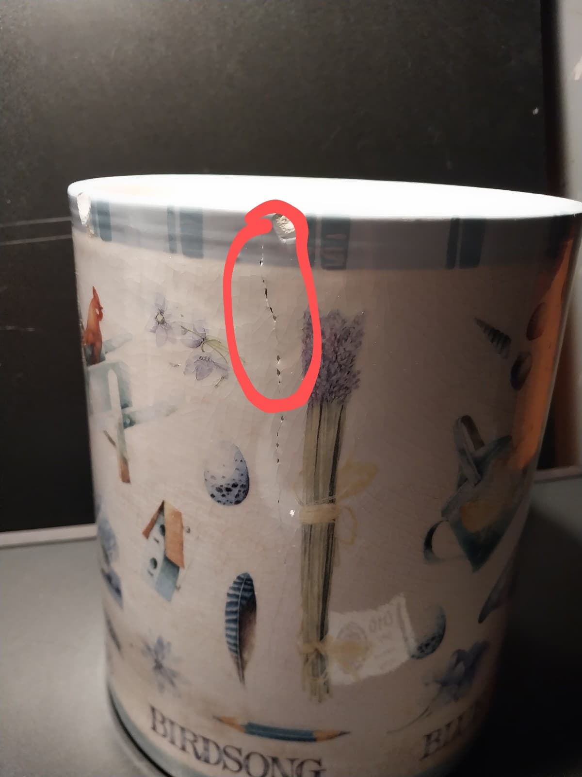 Hallmark Marjolein Bastin Large Canister Jar 10" Height. Birdsong Butterflies - Thumbnail 8