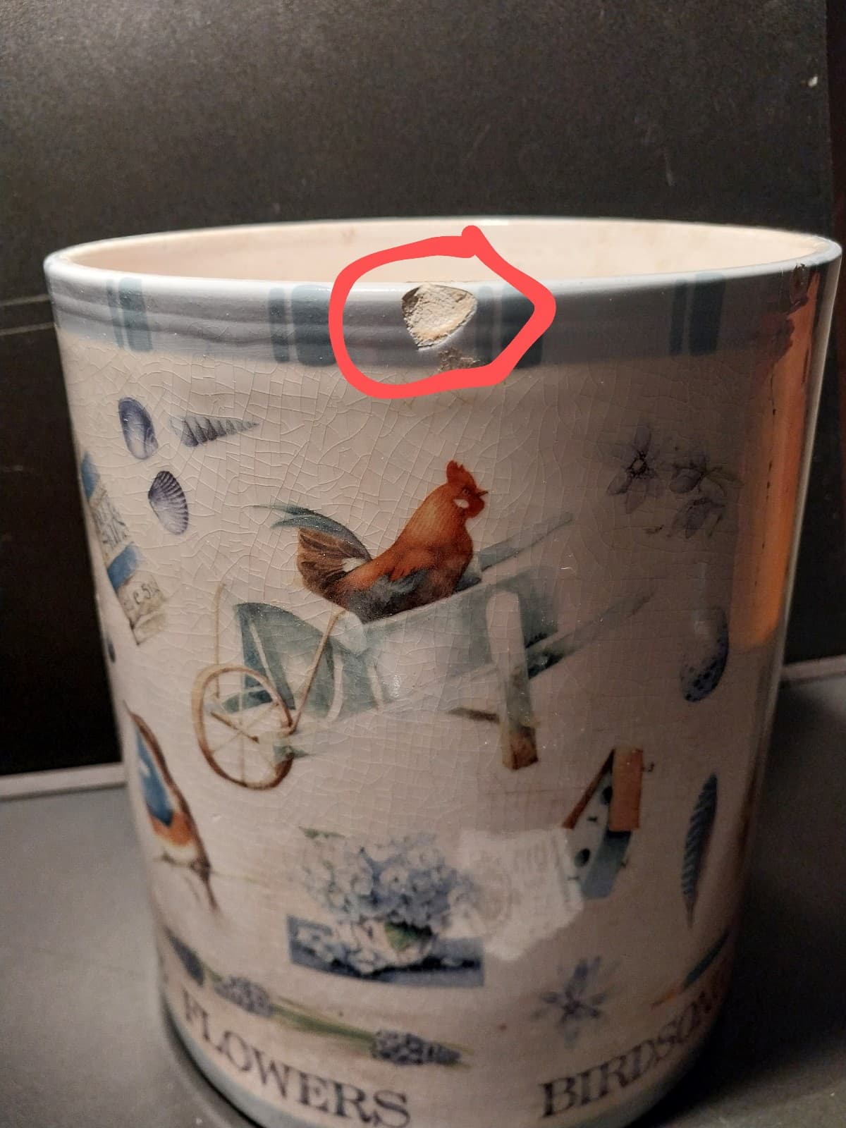 Hallmark Marjolein Bastin Large Canister Jar 10" Height. Birdsong Butterflies - Thumbnail 6