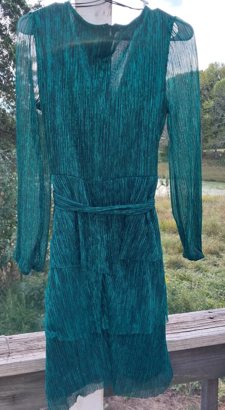 Rachel Zoe Metallic Green Dress Fairy. Size Small - Thumbnail 8