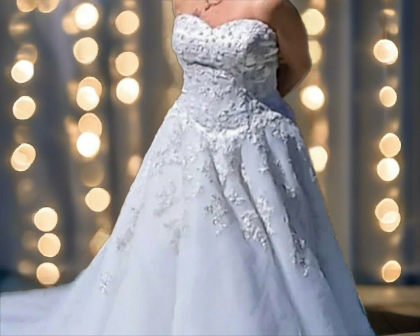 David's Bridal Wedding Dress. Bought but never worn. Beautiful - Image 1