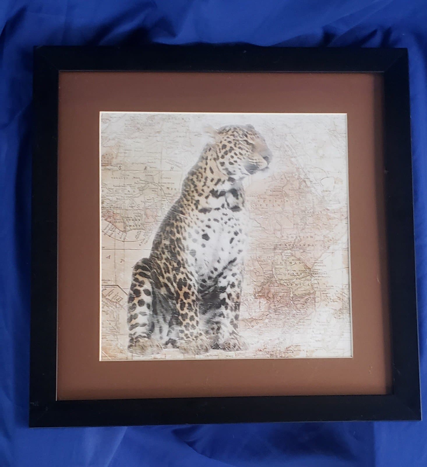 Leopard picture - Image 1