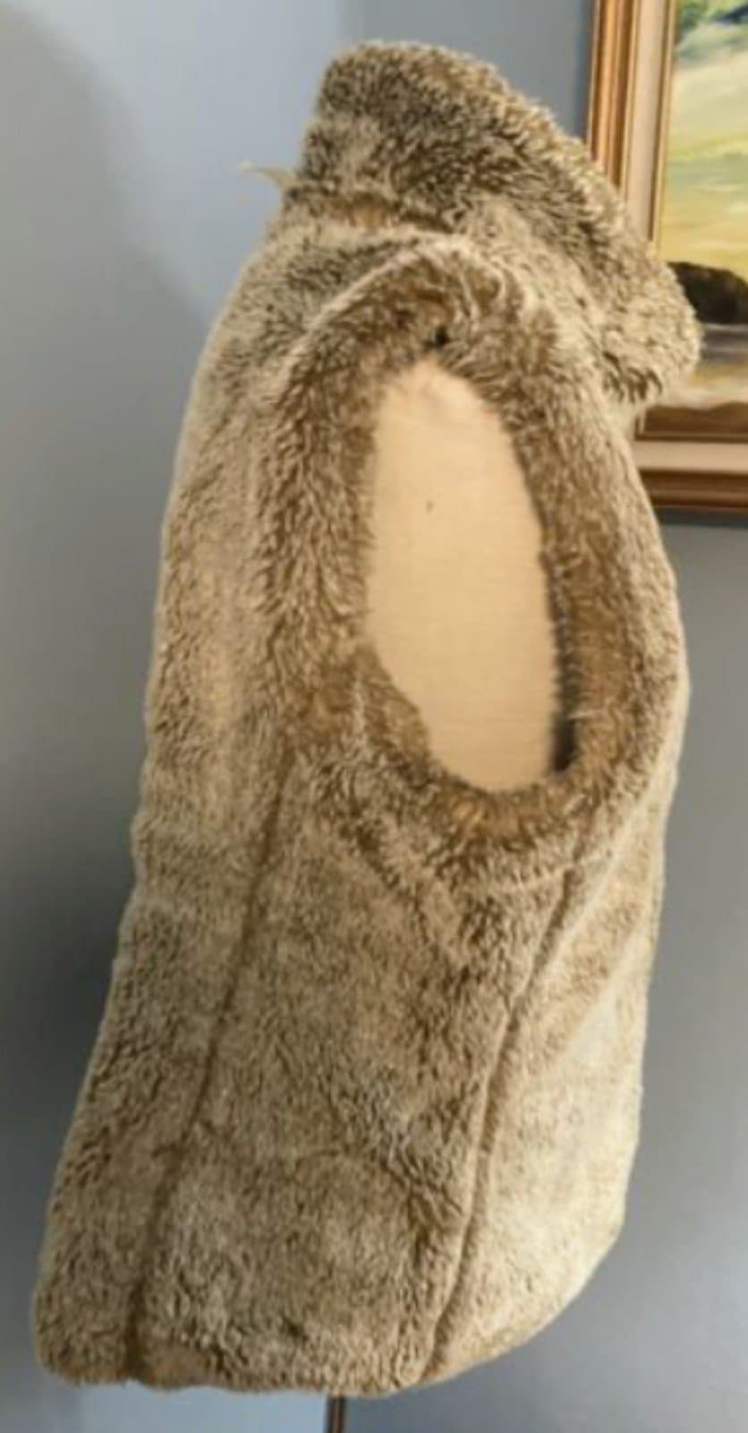 Gap Women's Reversible Brown Faux Fur Vest Jacket. Never been worn. - Thumbnail 8